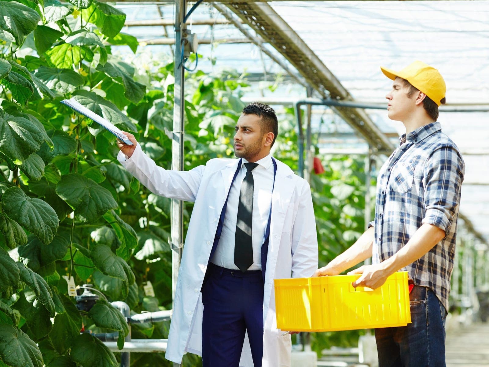 Agriculture
